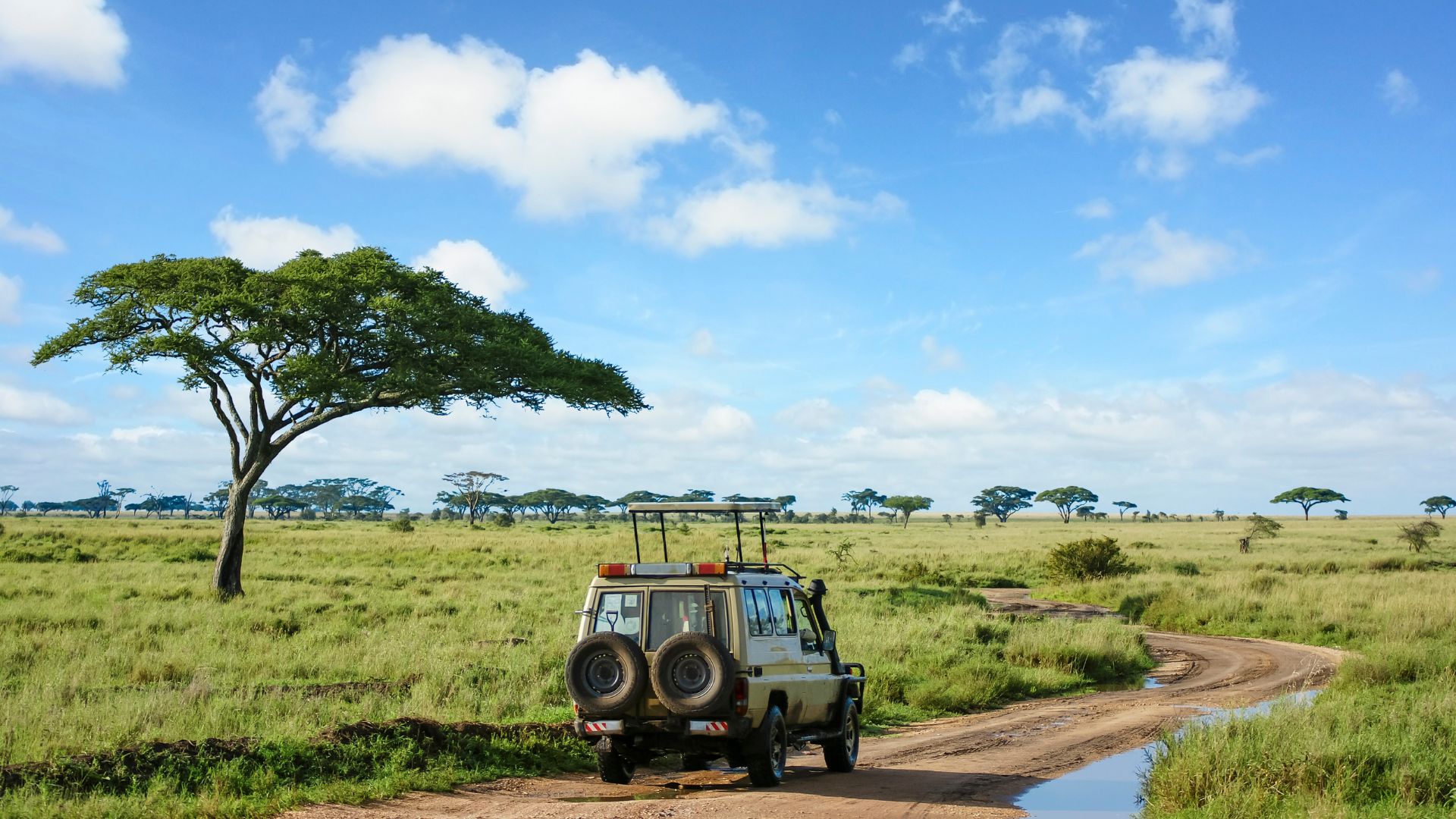 Tanzániai szafari és Zanzibár