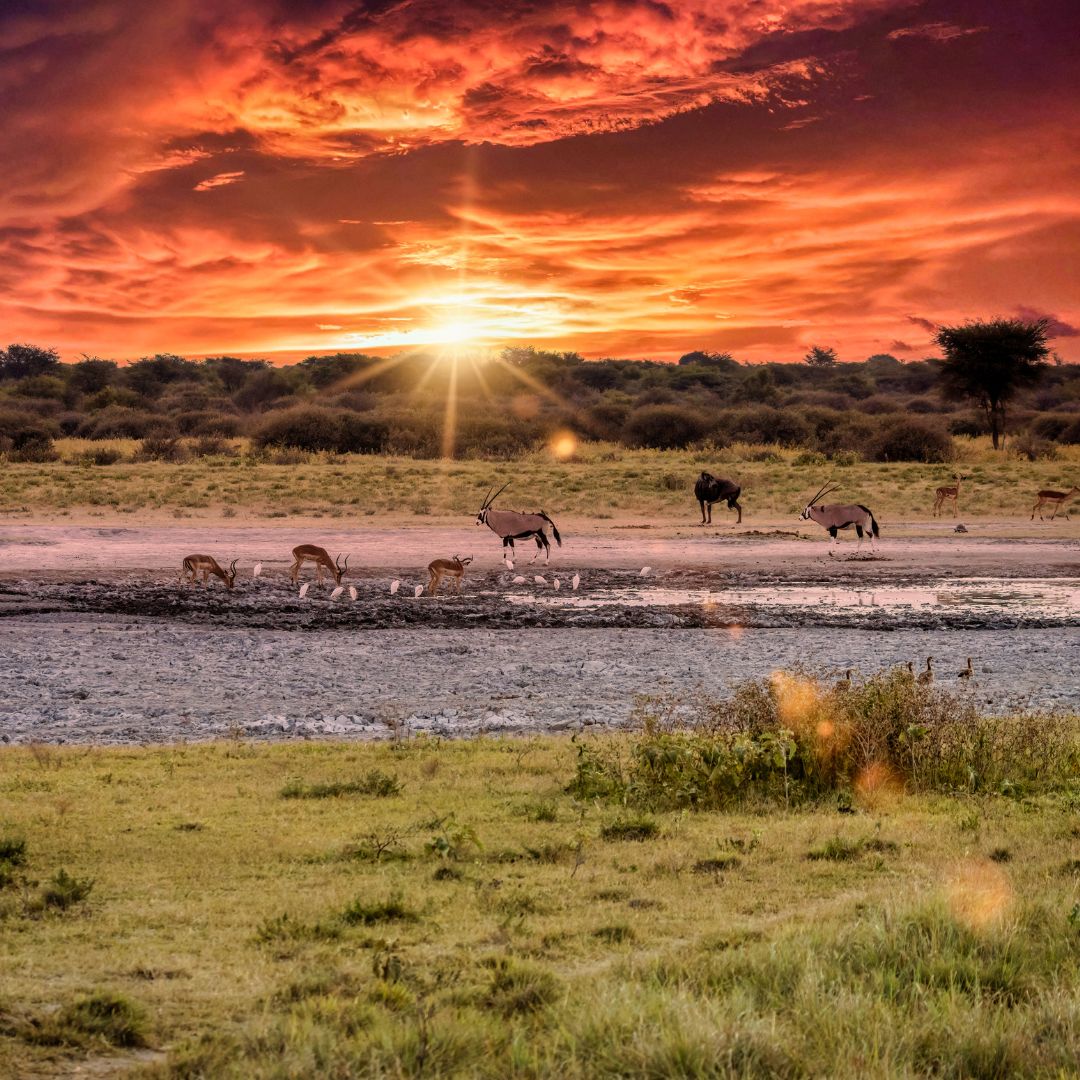 Botswana