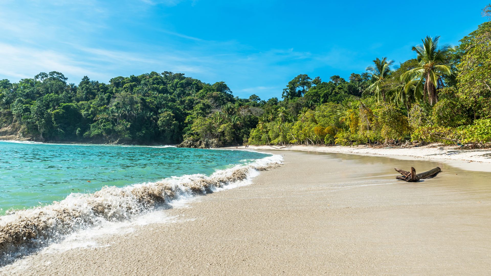Pura Vida expedíció 25 napos Costa Rica-i körutazás