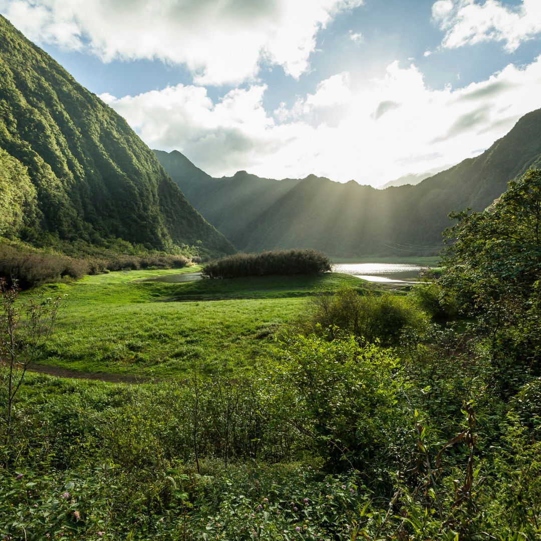 Réunion