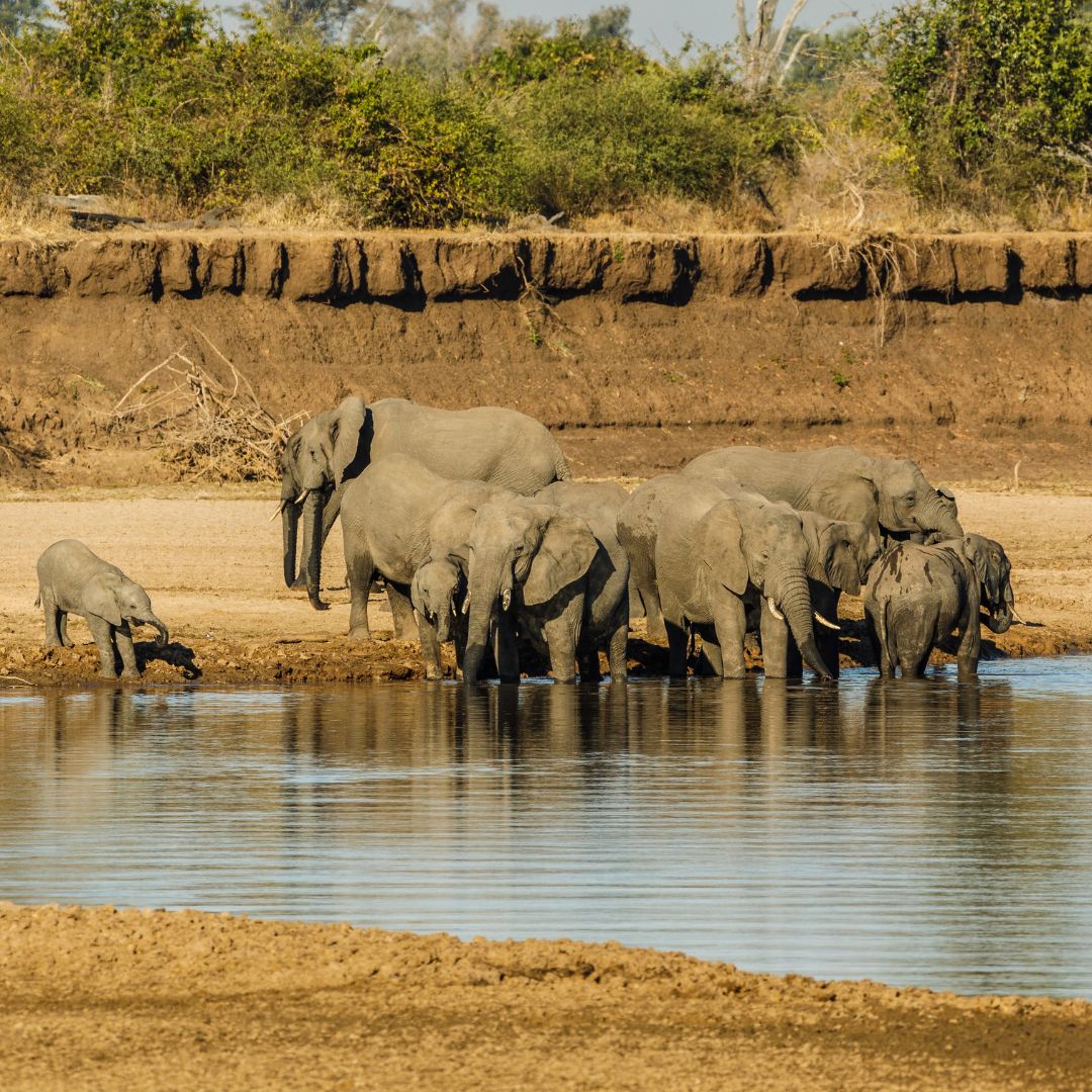 Zambia