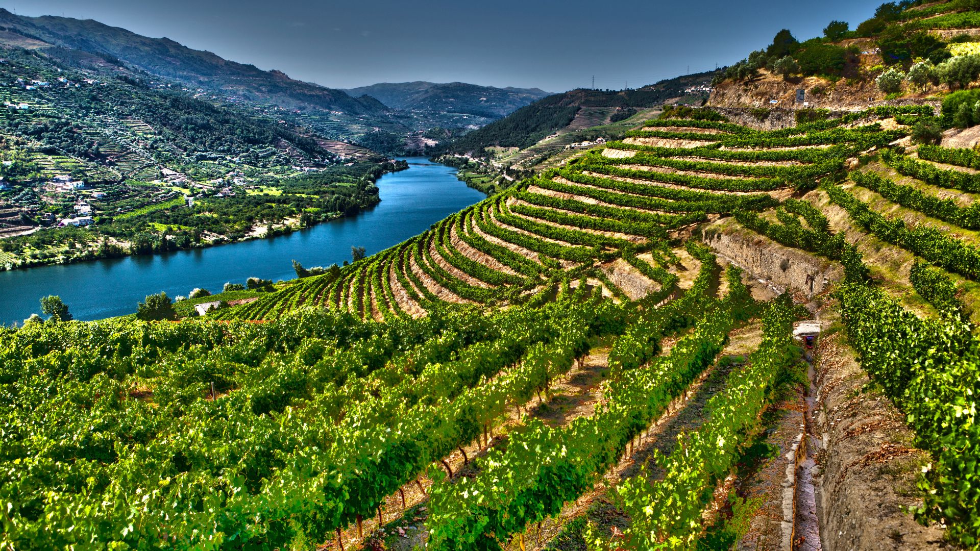A Douro-völgy folyóparti szőlőteraszai
