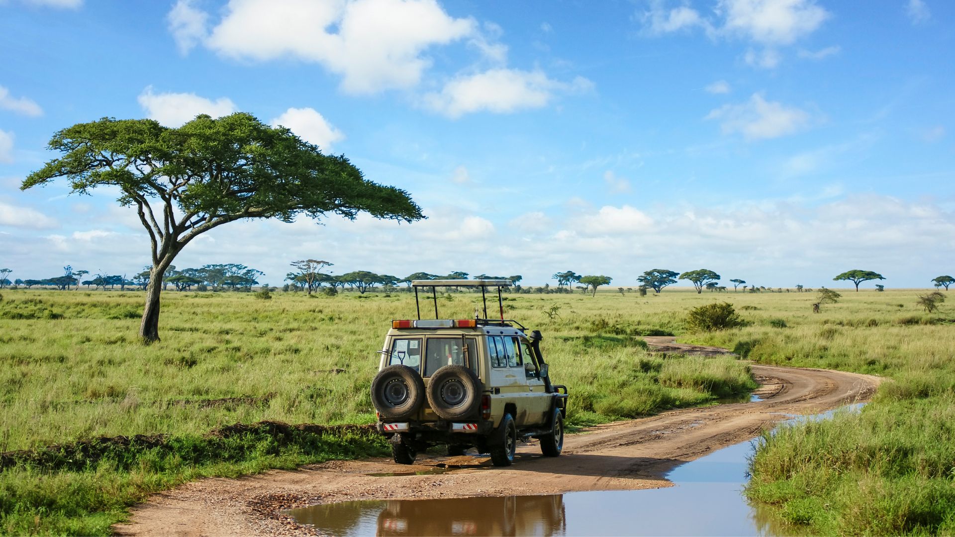 Tanzániai szafari és zanzibári tengerpart egy 16 napos utazáson