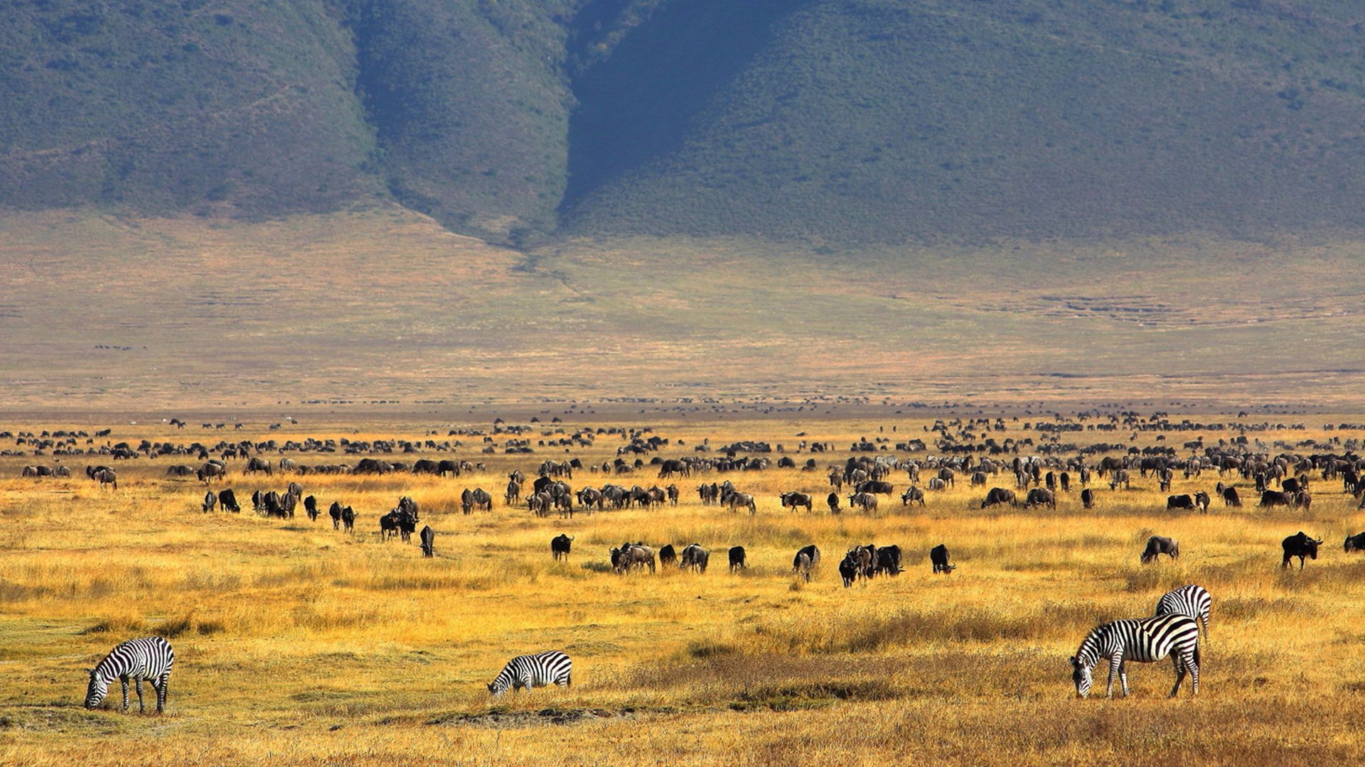 A Ngorongoro-kráter lenyűgöző tája és gazdag állatvilága Tanzániában