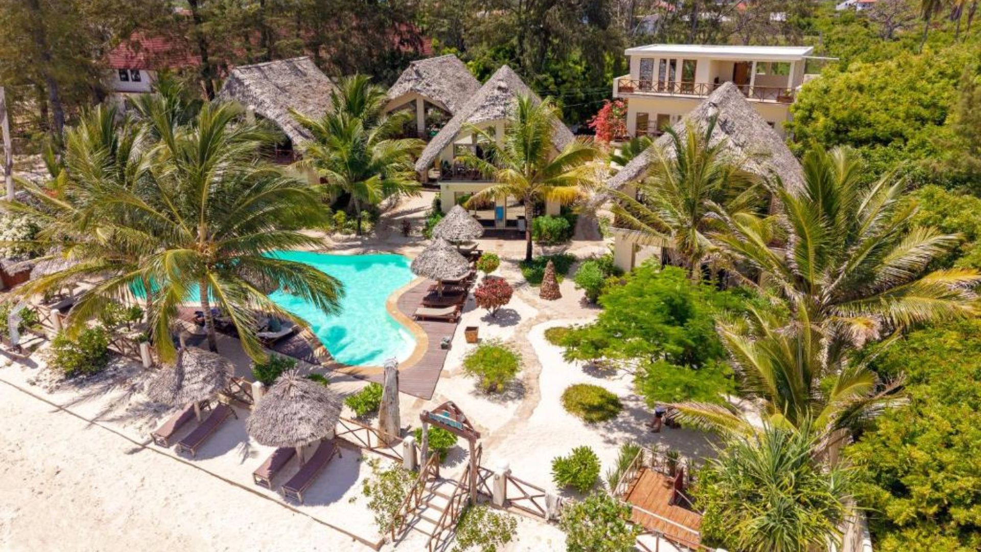 Privát tengerparti villa Zanzibár pálmafás partján